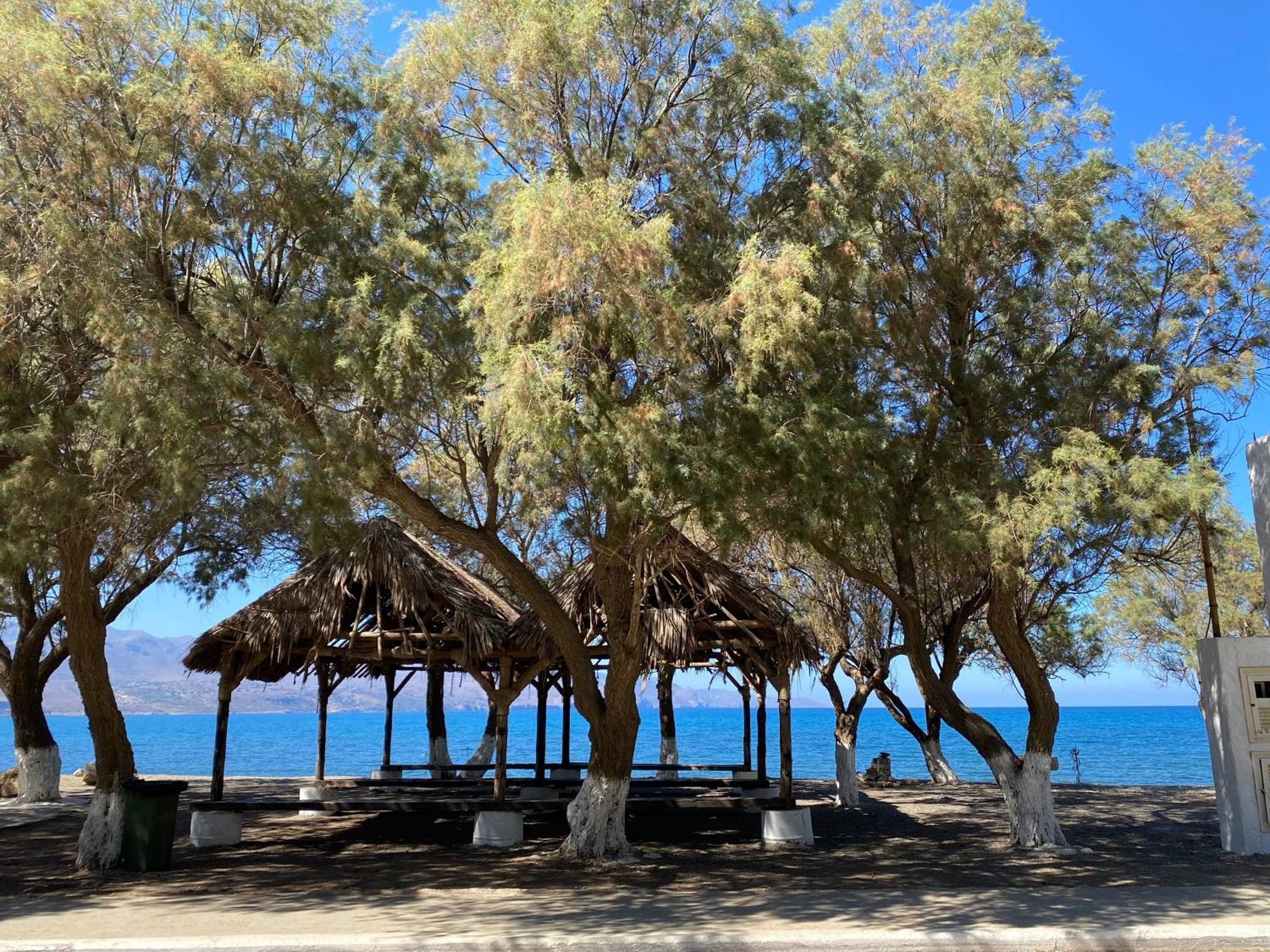Ferienhaus Albama Darmarochori
